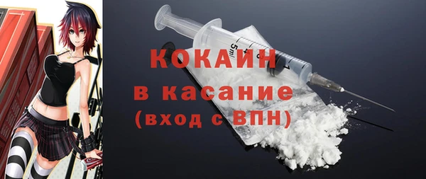сатива Арсеньев