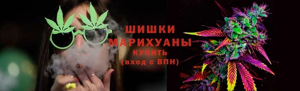 сатива Арсеньев