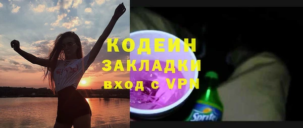 сатива Арсеньев