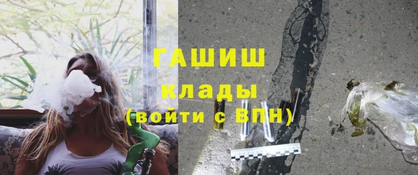 сатива Арсеньев