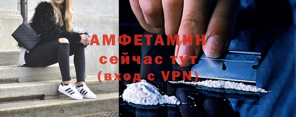 сатива Арсеньев